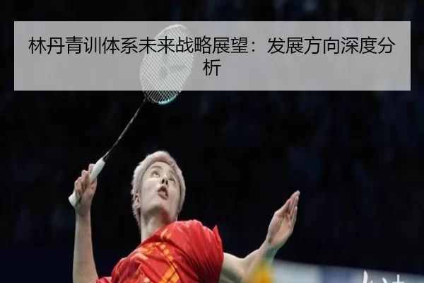 林丹青训体系未来战略展望：发展方向深度分析