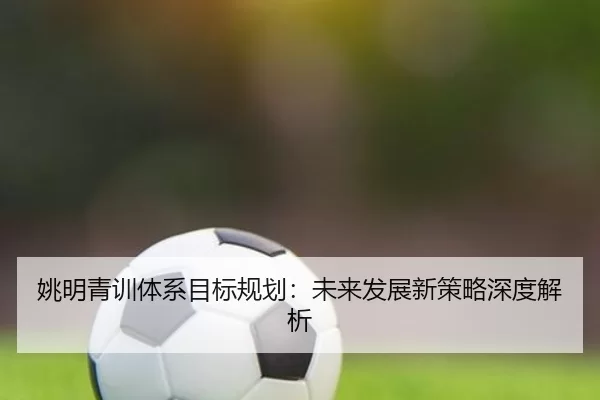 姚明青训体系目标规划：未来发展新策略深度解析