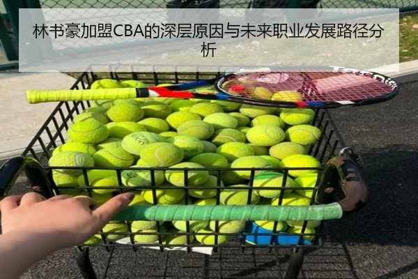 林书豪加盟CBA的深层原因与未来职业发展路径分析