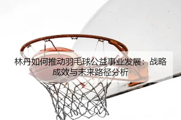 林丹如何推动羽毛球公益事业发展：战略成效与未来路径分析